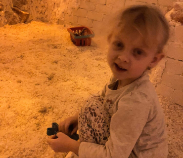 Leden ve Sluníčkách (2023)