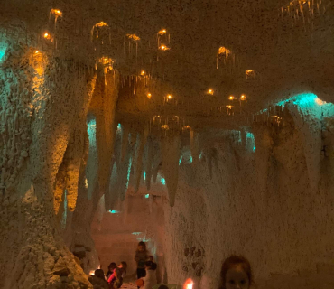 Leden ve Sluníčkách (2023)