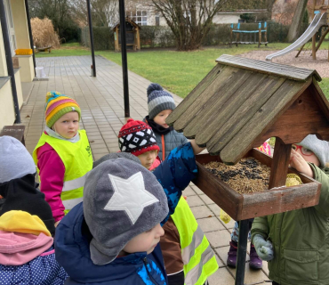 Leden ve Sluníčkách (2023)