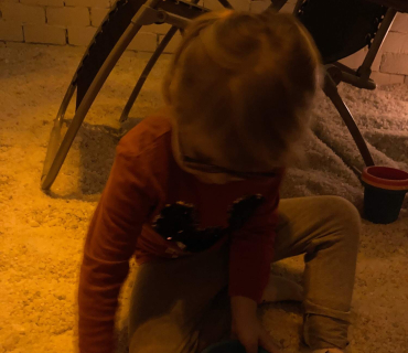 Leden ve Sluníčkách (2023)