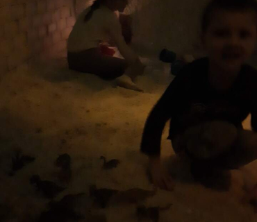 Školáčci leden 2023