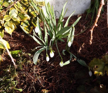 Školáčci leden 2023