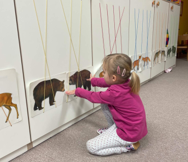 Od 9. 1. 2023 Zvířata a ptáci v zimě - Hvězdičky