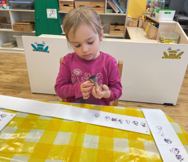 Od 9. 1. 2023 Zvířata a ptáci v zimě - Hvězdičky