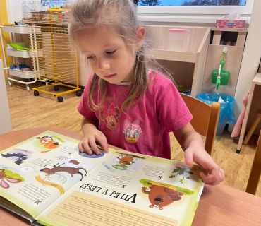 Od 9. 1. 2023 Zvířata a ptáci v zimě - Hvězdičky