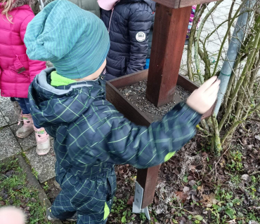 Hvězdičky - téma: ptáci v zimě