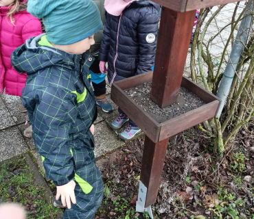 Hvězdičky - téma: ptáci v zimě