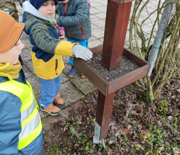 Hvězdičky - téma: ptáci v zimě