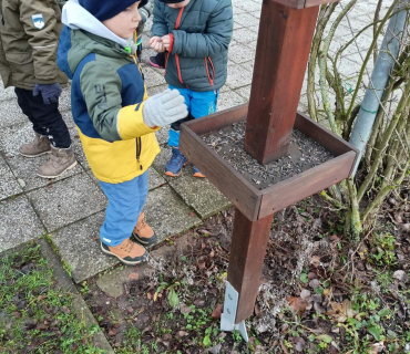 Hvězdičky - téma: ptáci v zimě