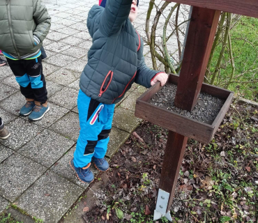 Hvězdičky - téma: ptáci v zimě