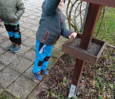 Hvězdičky - téma: ptáci v zimě