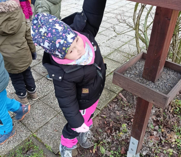 Hvězdičky - téma: ptáci v zimě