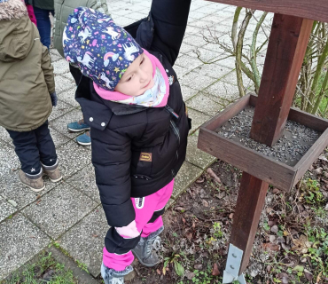 Hvězdičky - téma: ptáci v zimě