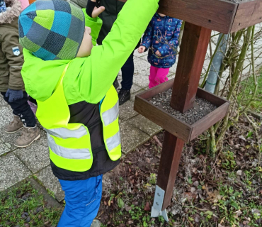 Hvězdičky - téma: ptáci v zimě