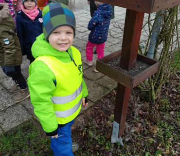 Hvězdičky - téma: ptáci v zimě