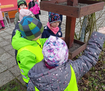 Hvězdičky - téma: ptáci v zimě