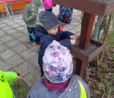 Hvězdičky - téma: ptáci v zimě