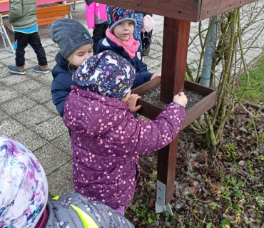 Hvězdičky - téma: ptáci v zimě