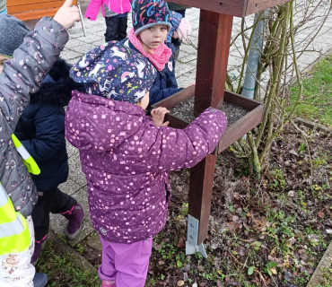 Hvězdičky - téma: ptáci v zimě