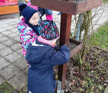 Hvězdičky - téma: ptáci v zimě