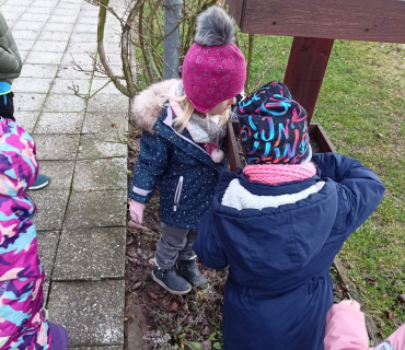 Hvězdičky - téma: ptáci v zimě