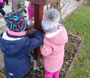 Hvězdičky - téma: ptáci v zimě