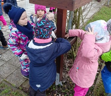 Hvězdičky - téma: ptáci v zimě