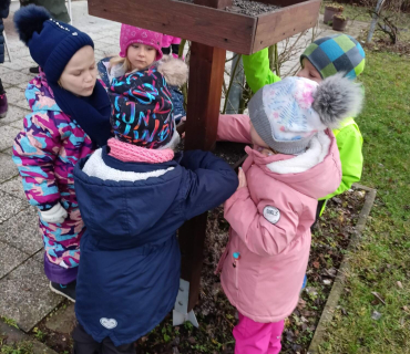 Hvězdičky - téma: ptáci v zimě