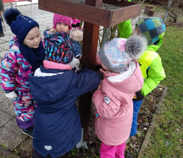 Hvězdičky - téma: ptáci v zimě