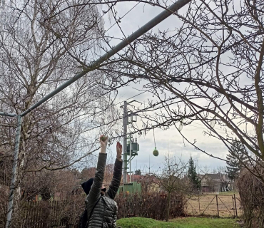 Hvězdičky - téma: ptáci v zimě