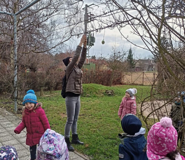 Hvězdičky - téma: ptáci v zimě